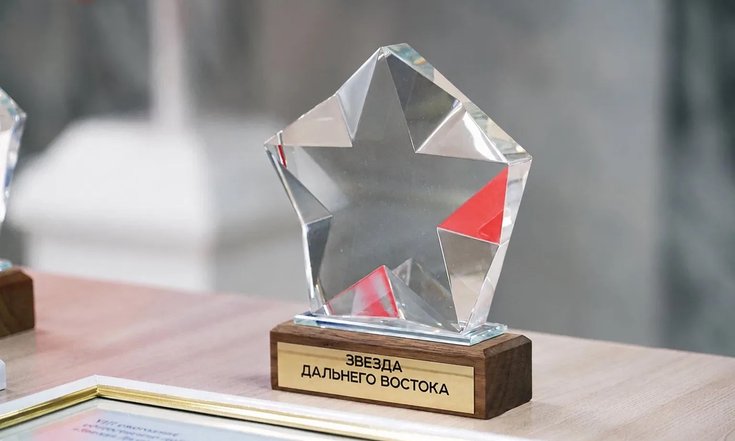 Дан старт IX общественно-деловой премии «Звезда Дальнего Востока»