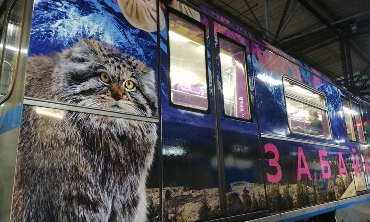 В московском метро запустили третий «Дальневосточный экспресс»