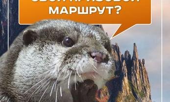 Юрий Трутнев: на суд жюри конкурса «Дальний Восток — Земля приключений» уже поступило 95 фильмов